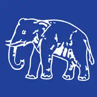 BSP